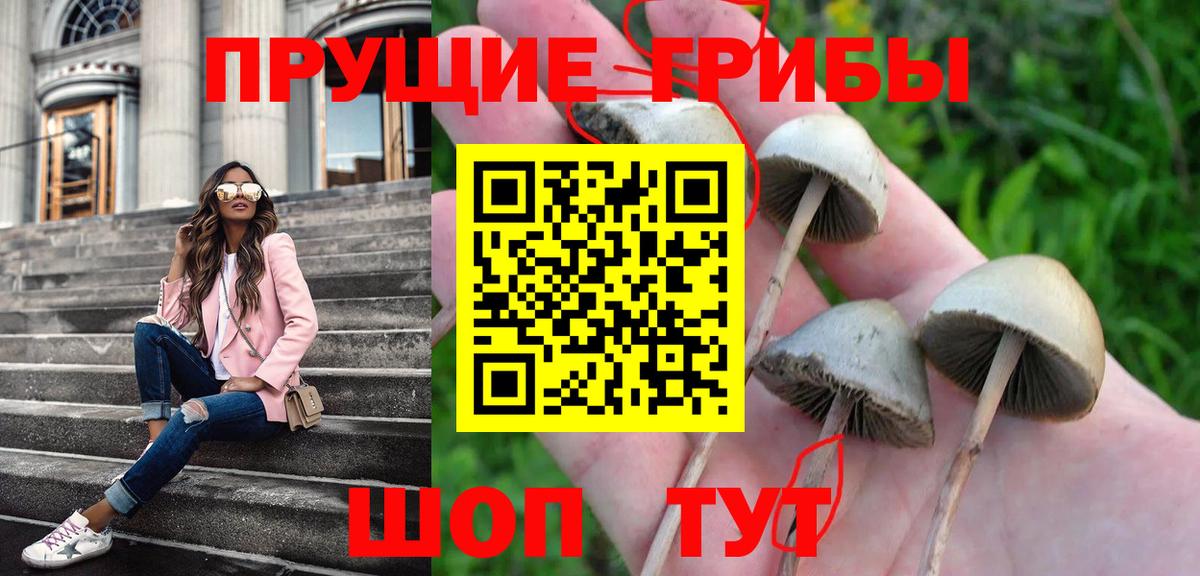 Псилоцибиновые грибы Magic Shrooms Азов