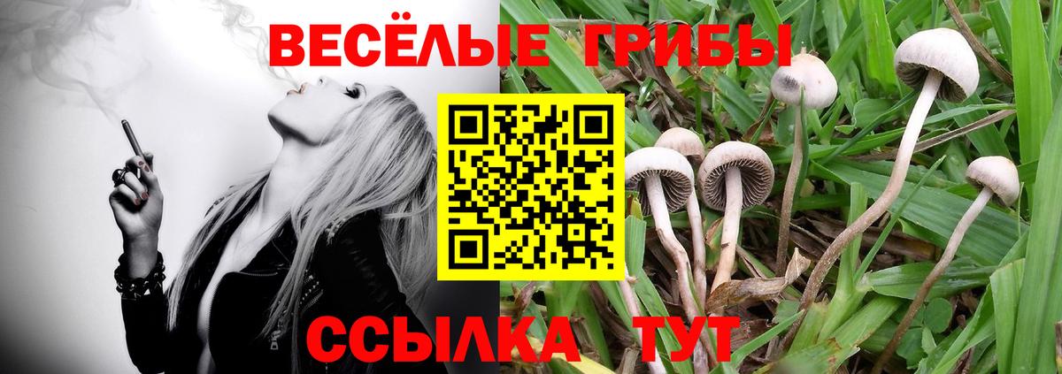 Азов  Галлюциногенные грибы Magic Shrooms  Псилоцибиновые грибы Psilocybe  Вход с VPN 